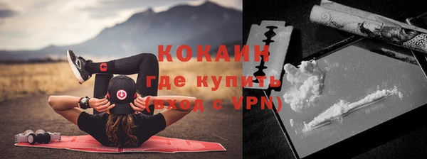 гидра Володарск