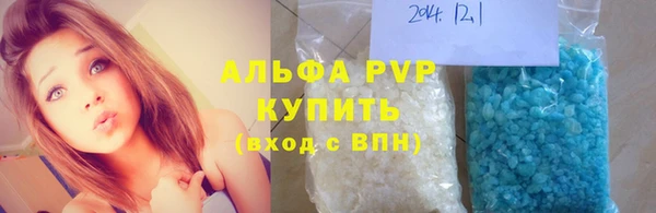 гидра Володарск