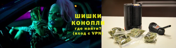 гидра Володарск