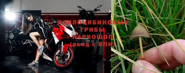 гидра Володарск
