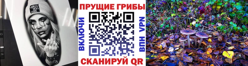 Купить  Вилюйск  Галлюциногенные грибы Magic Shrooms 
